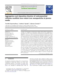 Aggregation and Deposition Kinetics of Carboxymethyl Cellulose-Modified