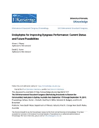 Endophytes for Improving Ryegrass Performance: Current Status and Future Possibilities