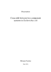 Endversion Vor Checks