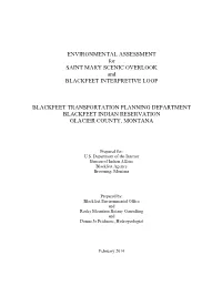 ENVIRONMENTAL ASSESSMENT for SAINT MARY SCENIC OVERLOOK and BLACKFEET INTERPRETIVE LOOP