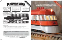 Own This Fantasy D&RGW Train Set