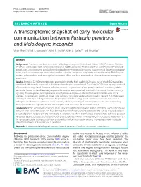 A Transcriptomic Snapshot of Early Molecular Communication Between Pasteuria Penetrans and Meloidogyne Incognita Victor Phani1, Vishal S