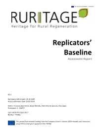 Replicators' Baseline Assessment Report