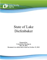 State of Lake Diefenbaker Report