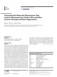 Unraveling the Molecular Mechanisms That Lead to Supernumerary Teeth in Mice and Men: Current Concepts and Novel Approaches