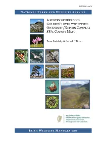A Survey of Breeding Golden Plover Within the Owenduff/Nephin Complex SPA, County Mayo