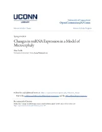 Changes in Mirna Expression in a Model of Microcephaly Shan Parikh University of Connecticut - Storrs, Shansp89@Gmail.Com