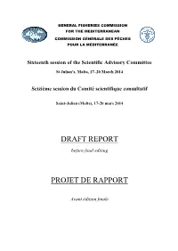 Draft Report Projet De Rapport