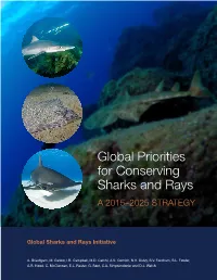 Global Priorities for Conserving Sharks and Rays a 2015–2025 Strategy