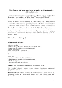 Identification and Molecular Characterization of the Mammalian Α-Kleisin RAD21L