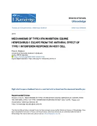 Mechanisms of Type-I Ifn Inhibition: Equine Herpesvirus-1 Escape from the Antiviral Effect of Type-1 Interferon Response in Host Cell