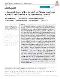 Molecular Phylogeny of Eremias Spp. from Pakistan Contributes to a Better Understanding of the Diversity of Racerunners