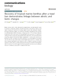 Recovery of Tropical Marine Benthos After a Trawl Ban Demonstrates Linkage Between Abiotic and Biotic Changes ✉ ✉ Zhi Wang 1,2,3, Kenneth M