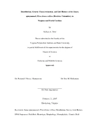 Thesis Working Plan
