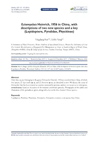 ﻿Ectomyelois Heinrich, 1956 in China, with Descriptions of Two New Species and a Key (Lepidoptera, Pyralidae, Phycitinae)