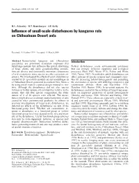 Influence of Small-Scale Disturbances by Kangaroo Rats on Chihuahuan Desert Ants