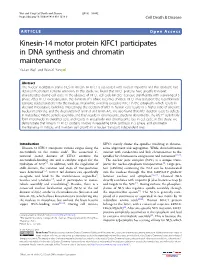 Kinesin-14 Motor Protein KIFC1 Participates in DNA Synthesis and Chromatin Maintenance Ya-Lan Wei1 and Wan-Xi Yang 1