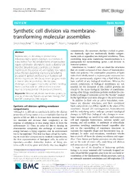 Synthetic Cell Division Via Membrane- Transforming Molecular Assemblies Simon Kretschmer1,2†, Kristina A