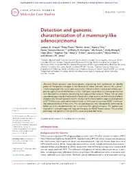 Detection and Genomic Characterization of a Mammary-Like Adenocarcinoma