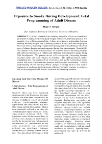 Exposure to Smoke During Development: Fetal Programming of Adult Disease
