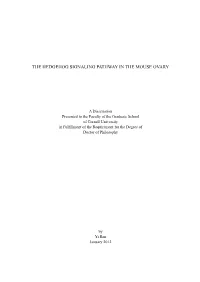 The Hedgehog Signaling Pathway in the Mouse Ovary