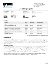 Laboratory Report
