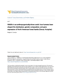 Wildlife in an Anthropogenically-Driven World