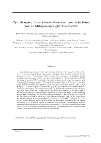 Cylindraspis - from Whence Thou Hast Com’St to Thine Home? Mitogenomes Give the Answer