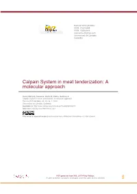 Calpain System in Meat Tenderization: a Molecular Approach