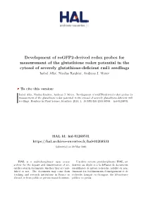 Development of Rogfp2-Derived Redox Probes for Measurement Of