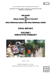 Final Report Volume I Executive Summary Repport