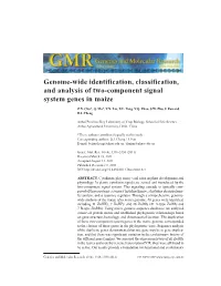 Genome-Wide Identification, Classification, and Analysis of Two-Component Signal System Genes in Maize