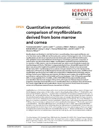 Quantitative Proteomic Comparison of Myofibroblasts Derived from Bone