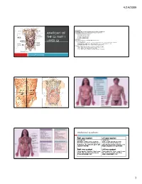 Anatomy of the G.I Part 1 Upper Gi