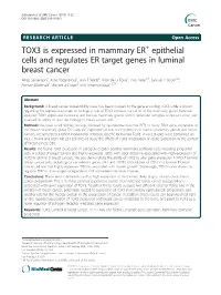 TOX3 Is Expressed in Mammary ER+ Epithelial Cells and Regulates ER