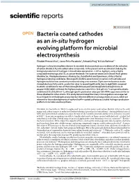 Bacteria Coated Cathodes As an In-Situ Hydrogen Evolving Platform for Microbial Electrosynthesis