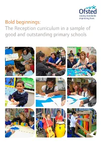 Bold Beginnings