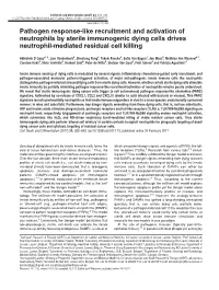 Pathogen Response-Like Recruitment and Activation of Neutrophils by Sterile Immunogenic Dying Cells Drives Neutrophil-Mediated Residual Cell Killing