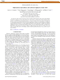 Single-Photon Superradiance and Radiation Trapping by Atomic Shells
