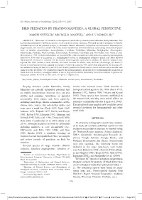 Bird Predation by Praying Mantises: a Global Perspective