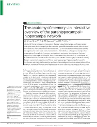 The Anatomy of Memory: an Interactive Overview of the Parahippocampal– Hippocampal Network