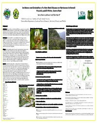Incidence and Evaluation of a New Rust Disease on Myrtaceae in Hawaii