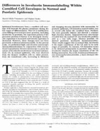 Differences in Involucrin Immunolabeling Within Cornified Cell Envelopes in Nornlal and Psoriatic Epidermis