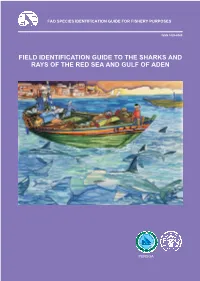 Field Identification Guide to the Sharks and Rays of the Red Sea and Gulf of Aden