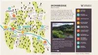 Ironbridge Interactive