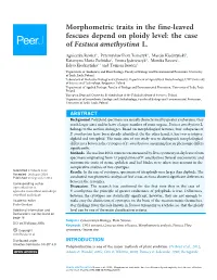 Morphometric Traits in the Fine-Leaved Fescues Depend on Ploidy Level: the Case of Festuca Amethystina L