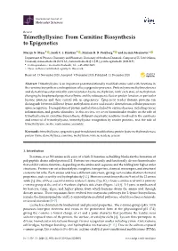 Trimethyllysine: from Carnitine Biosynthesis to Epigenetics