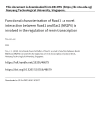 Functional Characterization of Rasd1 : a Novel Interaction Between Rasd1 and Ear2 (NR2F6) Is Involved in the Regulation of Renin Transcription