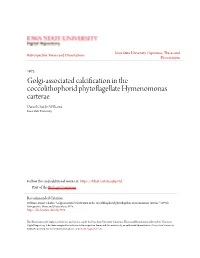 Golgi-Associated Calcification in the Coccolithophorid Phytoflagellate Hymenomonas Carterae Daniel Charles Williams Iowa State University