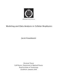 Modeling and Data Analysis in Cellular Biophysics